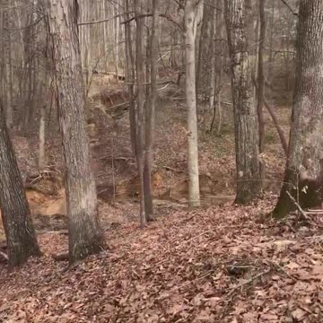 Walking Along The Trail