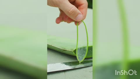 Aloevera Slice