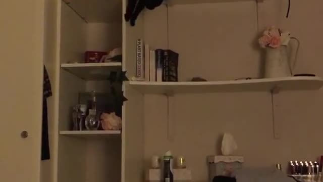 Black cat falls down white shelves