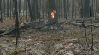 Fire Still Burning After a Deluge of Rain