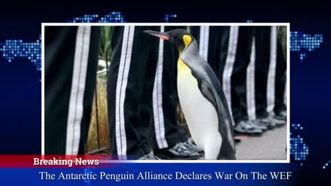 BREAKING NEWS: The Antarctic Penguin Alliance Declares War On The World Economic Forum