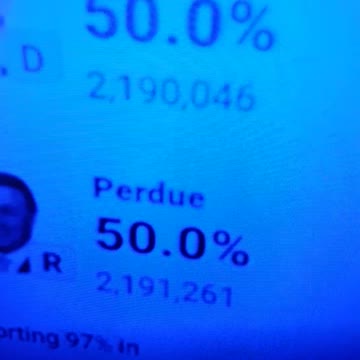 INTERNATIONAL WIDE ELECTION FRAUD VOTING MACHINE CRIME, GEORGIA RUNOFF SHAM ELECTION CRIME 299