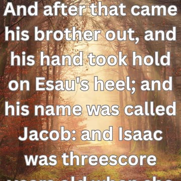 "Birth of Jacob and Esau" Genesis 25:26