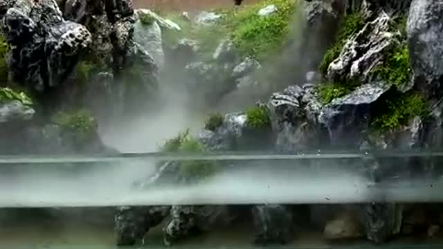 Landscape works in fish tanks（18）