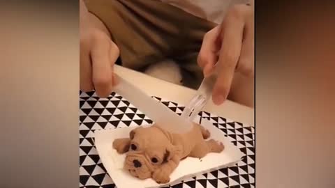 Dog reaction when cutting a cake with dog face!!!