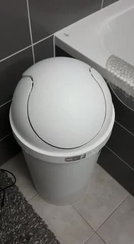 Cat Hides In Garbage Can To Swat Dog Brother