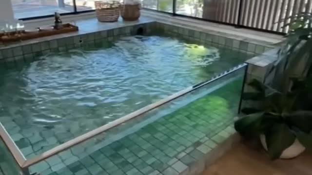 Piscina de vidro