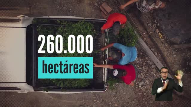 Reforestación - Ministerio de Ambiente