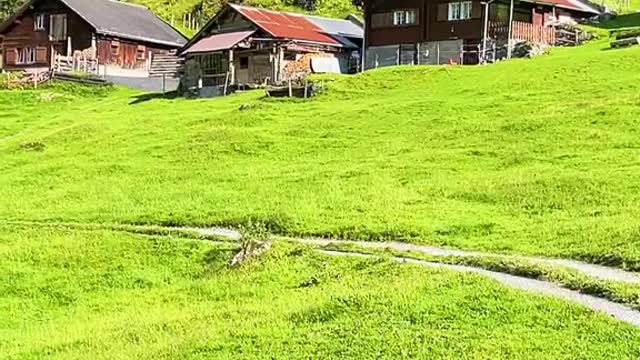 Alpine countryside