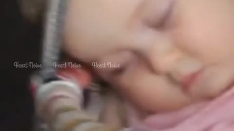 Cuteness overload