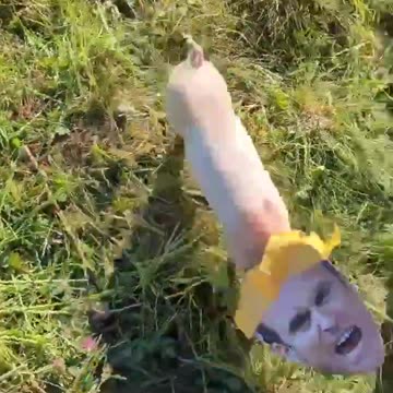 Presidente Macron in Visita sul fronte Ucraino .