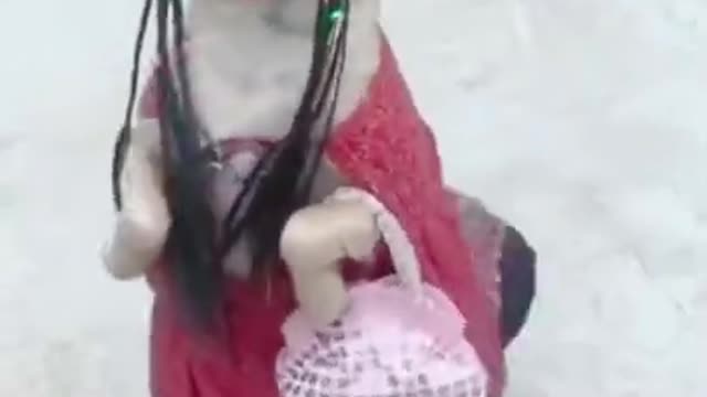 So cute dog walking , amazing seen