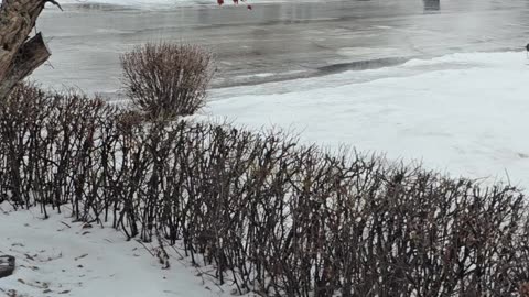 Winter Turns Town Into Icy Skating Rink