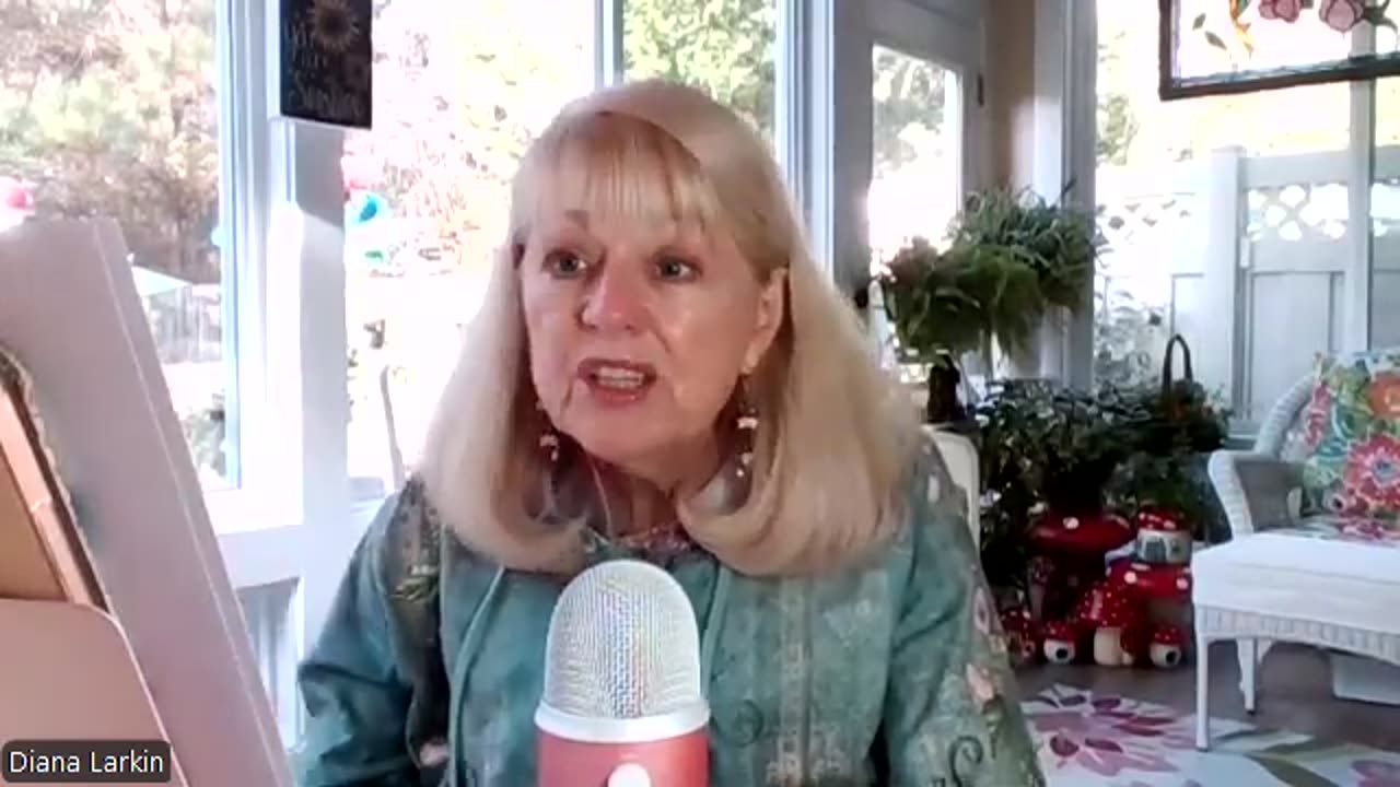 Diana Larkin: PROPHECY! HOW DO YOU OUTFOX THE FOXES? - 11/26/24