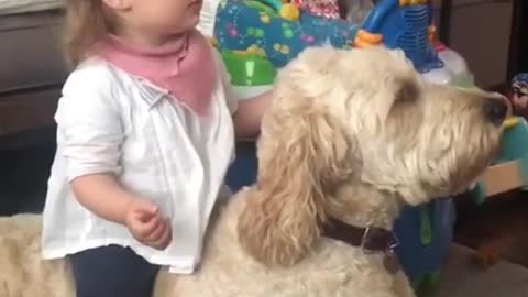 Little Kid Riding the Dogy