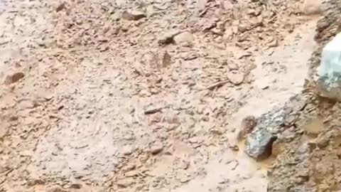 Sad video the