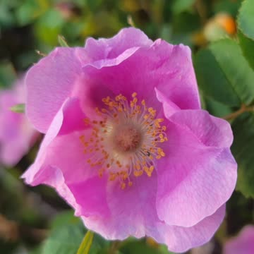 Was Chilling at the beach