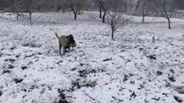 First time in snow