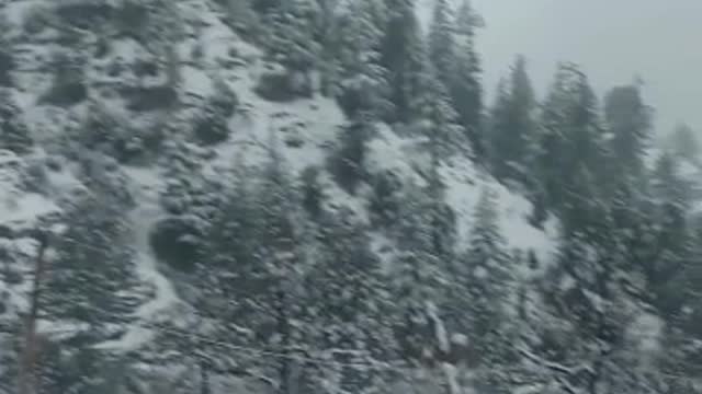 snow-fall
