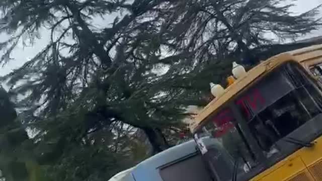 Сухуми - 21.12.2021