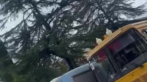 Сухуми - 21.12.2021