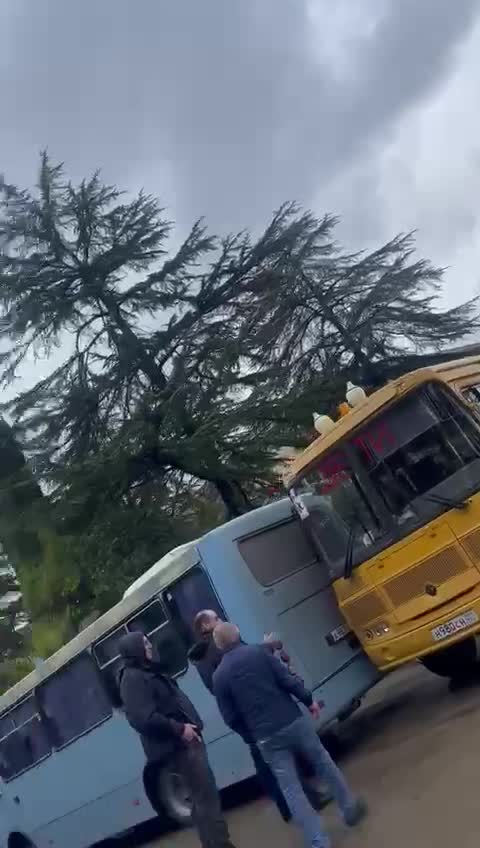 Сухуми - 21.12.2021