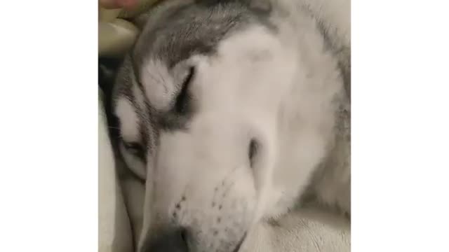 And dreaming an interesting dream
