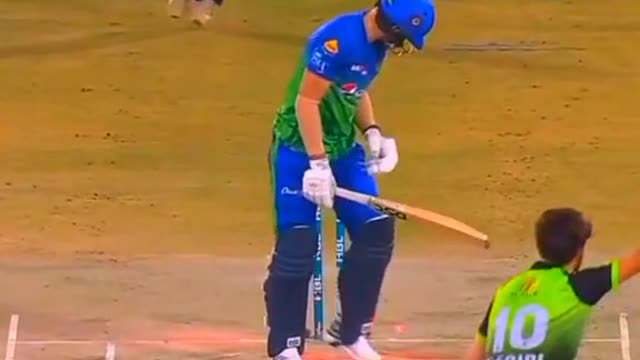 fans-video cricket lovers-video #cricket #cricketlover