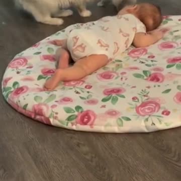 ❤️ HELLO BABY ! THIS IS MY 🐱 LITTLE KITTEN 🐱 ! IT'S ADORABLE ! ❤️ #Shorts