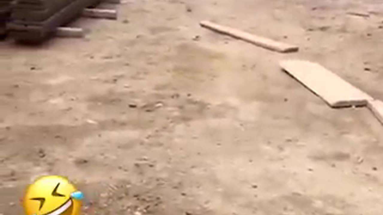 Funny animal videos of the day 😂😂#fyp #memes #memedaily #dankmemes