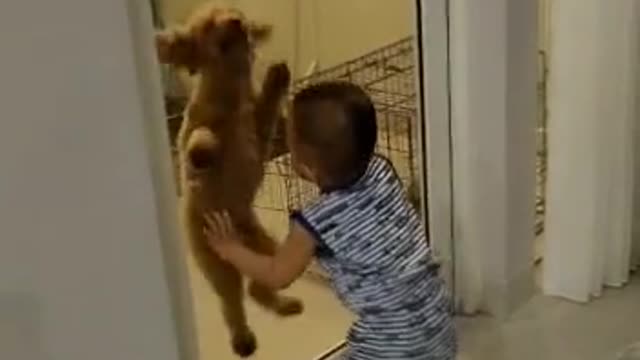 dog and baby dancing together