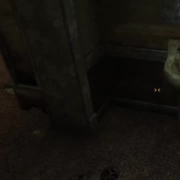 The bathroom poltergeist (Fallout: New Vegas)