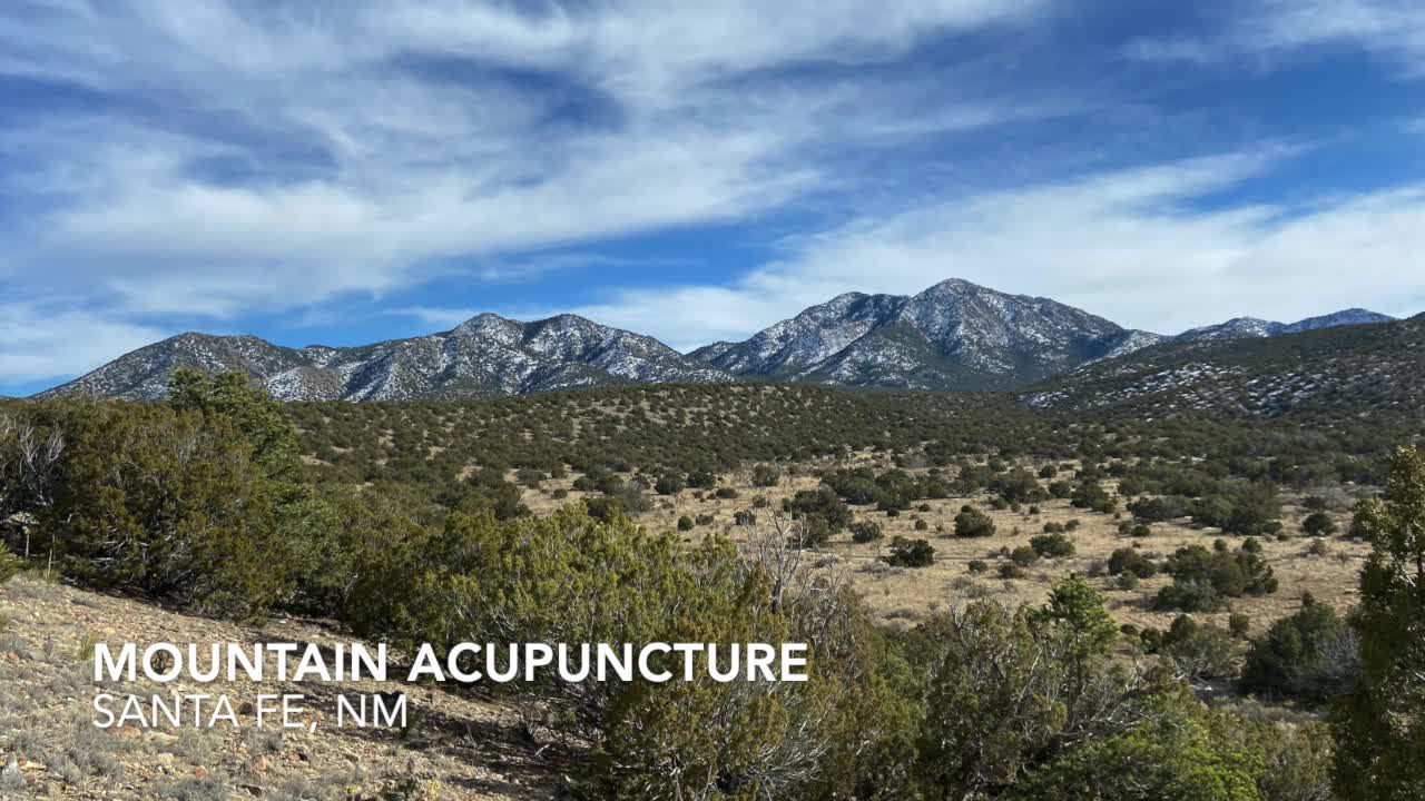 Acupuncture: How it Works