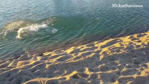 Bikini girl runs down sand into water and faceplants