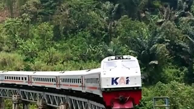 train over a high bridge