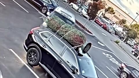 You can’t have anything nice in California, not even Christmas tree.