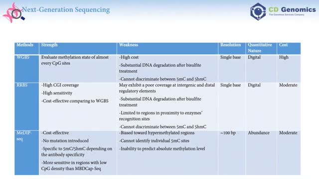 Sequencing-based Approaches for Profiling DNA Methylation