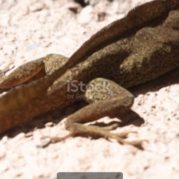 Top 5 Interesting Facts About Saint Eustatius