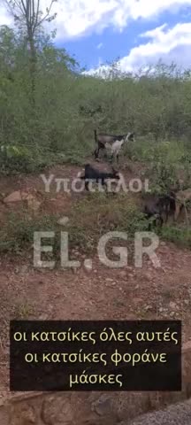 Μάσκες στα κατσίκια βάζουν στη Ρουάντα!