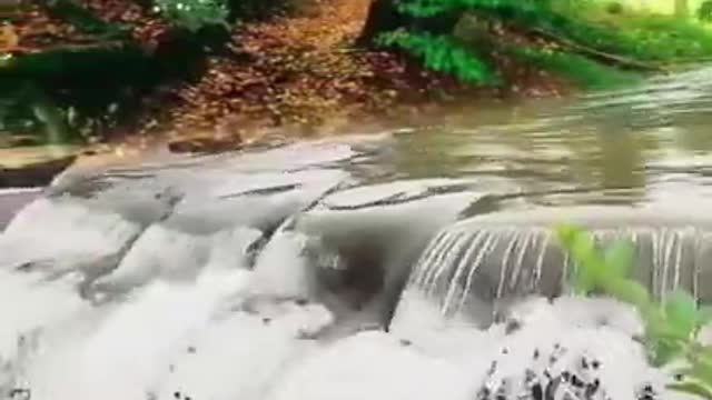 Watch the most amazing view of the waterfall