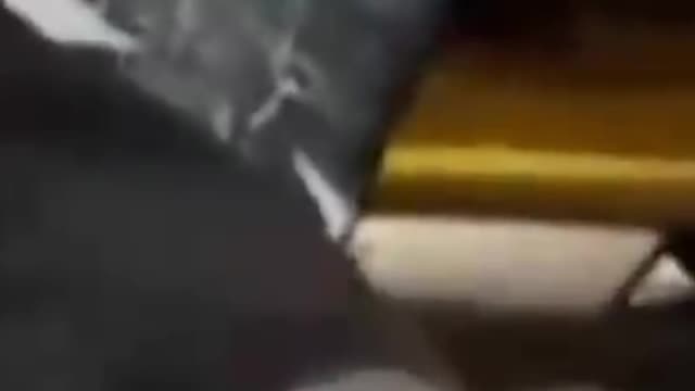 Interesting human