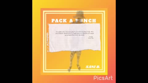 Sani B - Pack A Punch (Official Audio)