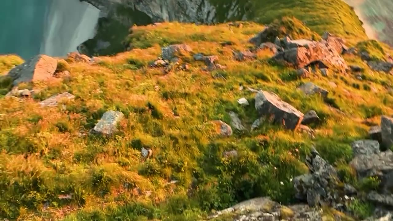#nature #forest #mountains #lake