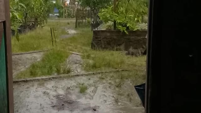 Hujan