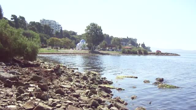 Wetland in front of the abandoned Panagia Clinic (Ex General Hospital of Thessaloniki Panagia)