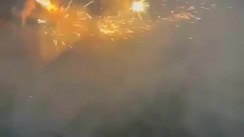 Dog Playing with Firecrackers