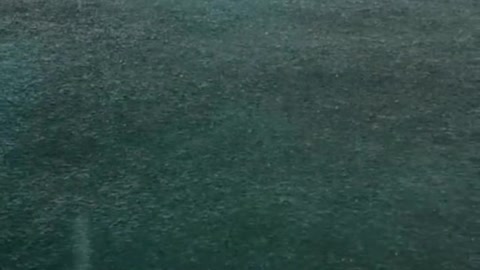rain 🌧🌧🥰 it's raining, rain sound video on the ocean,more at description sleep,#relax,subscribe🙏