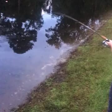 Daughter with a bass