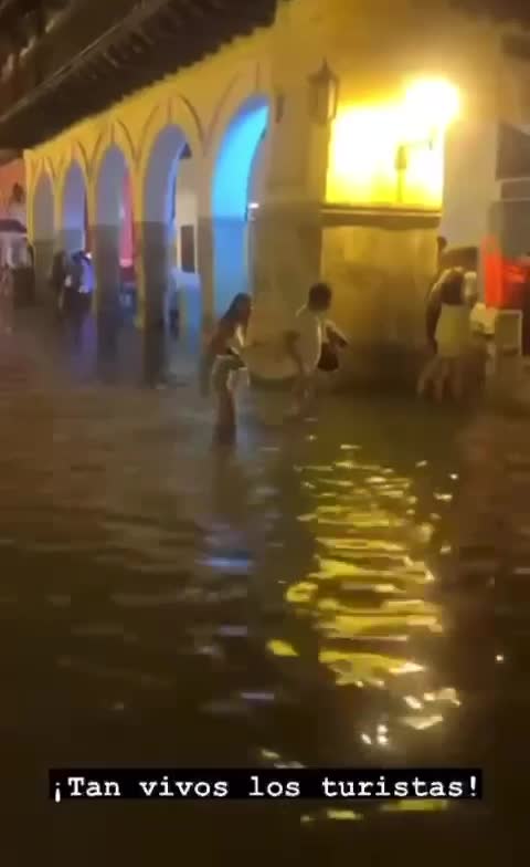 ¡Indignante! Caballos cocheros padecen bajo la lluvia en Cartagena