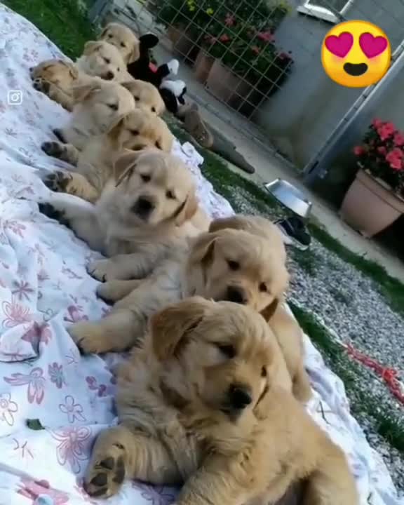 Me and My friends when they "Schools Over".